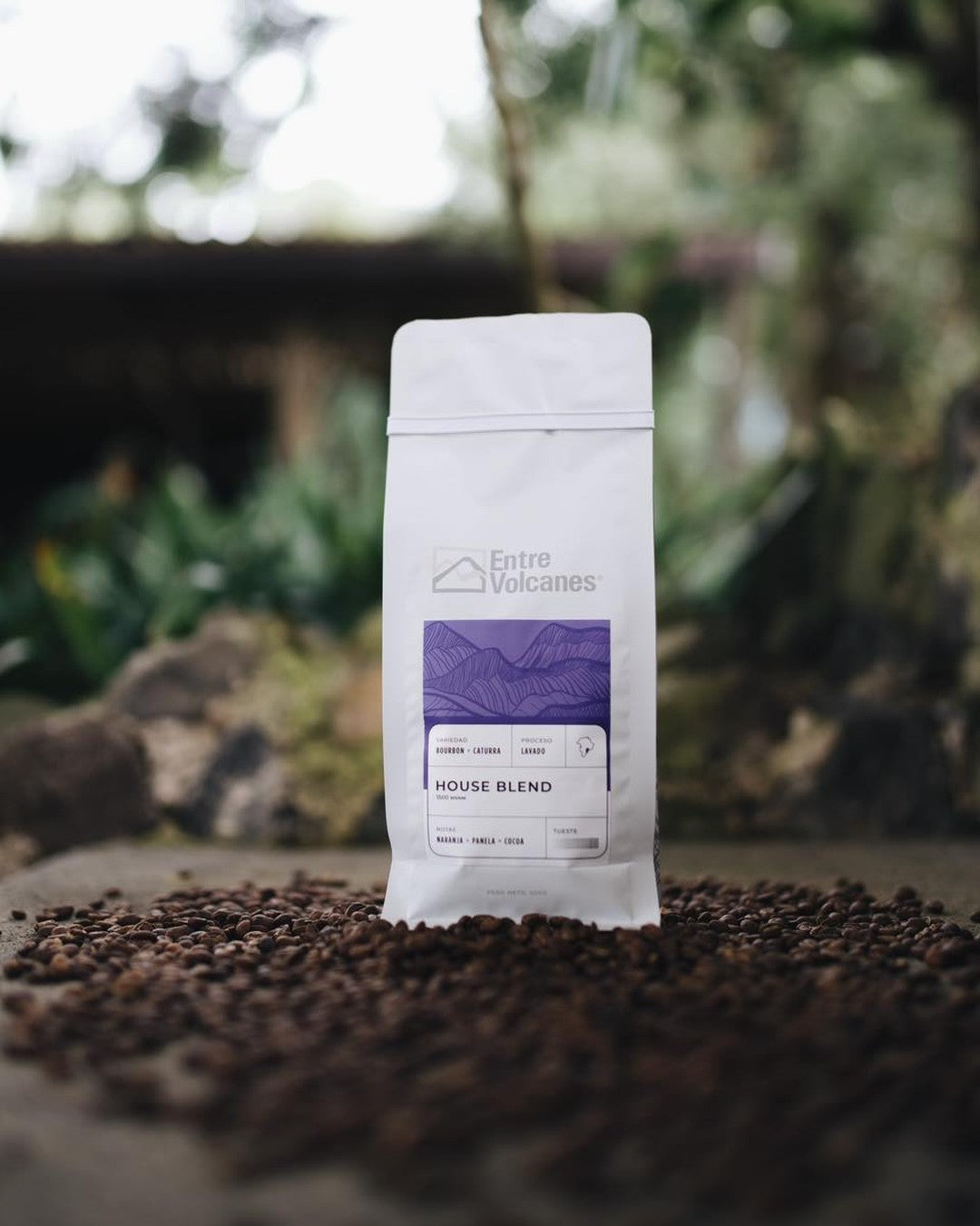 Cafe Entre Volcanes Regiones ground or whole bean
